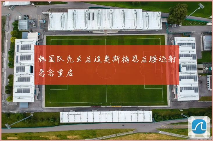 韩国队先丢后追奥斯梅恩后腰远射悬念重启