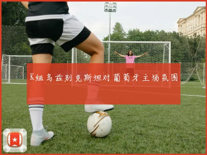 K组乌兹别克斯坦对葡萄牙主场氛围