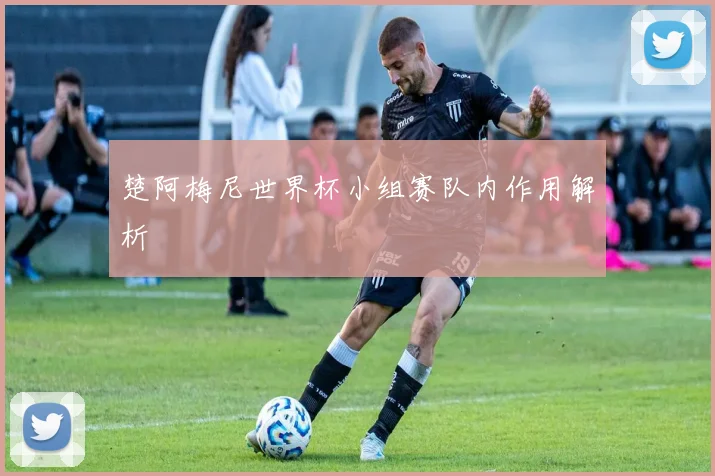 楚阿梅尼世界杯小组赛队内作用解析