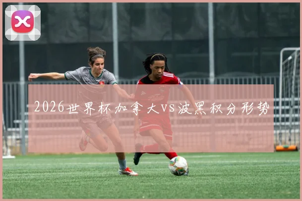 2026世界杯加拿大vs波黑积分形势