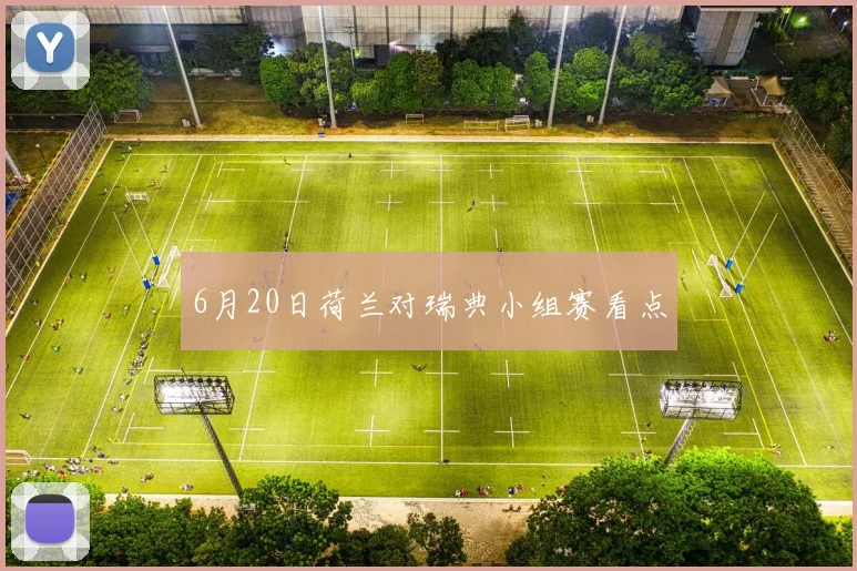 6月20日荷兰对瑞典小组赛看点