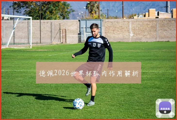 德佩2026世界杯队内作用解析