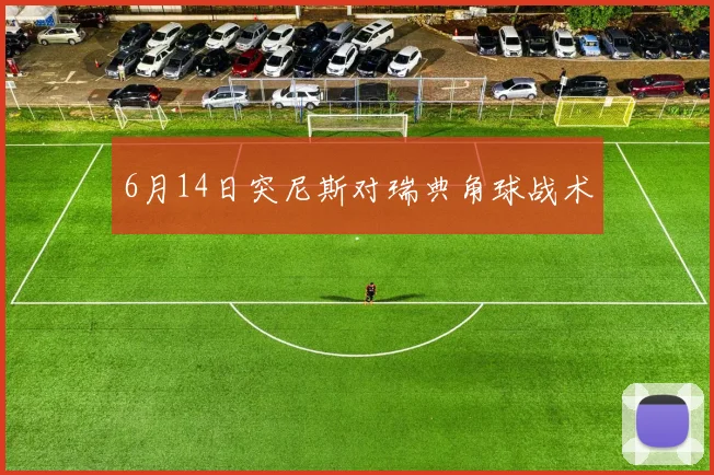 6月14日突尼斯对瑞典角球战术